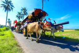Wisata Pantai Watu Ulo Membludak Saat Lebaran Ketupat, Tiket Murah dan Tradisi Pegon Jadi Pemicunya