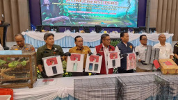 Polda Jatim Bongkar Sindikat Perdagangan Komodo Ilegal, Omzet Capai Rp 565,9 Juta