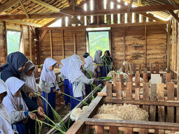 Desa Wisata Lerep Binaan TJSL PLN Raih Omzet Rp722 Juta Selama 2025