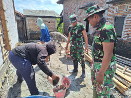 Kebersamaan TNI dan Warga Warnai TMMD di Desa Godo, Bangun Rumah Sekaligus Harapan