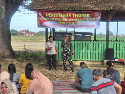 TMMD Nonfisik Kodim Pati, Petani Dibekali Pengetahuan Pengembangan Usaha Pertanian