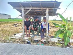 Hangatnya Komsos Satgas TMMD dengan Petani di Lokasi Pengecoran Jalan
