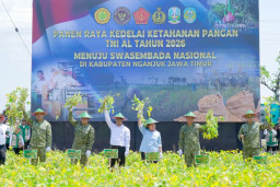 Dukung Swasembada Pangan, Kasad Hadiri Panen Raya Kedelai di Nganjuk