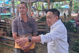 DPRD Surabaya Soroti Penataan Lapak Kurban, Anas Karno Minta Kelurahan Tak Pasif