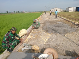 Pengecoran Atap Jadi Simbol Kebersamaan, TMMD Bangun MCK di Desa Godo