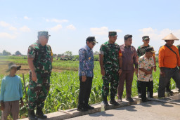 Pastikan Kualitas Maksimal, Tim Wasev Tinjau Betonisasi Jalan TMMD di Desa Godo