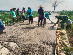 200 Meter Lagi, Betonisasi Jalan Desa Godo Segera Rampung oleh Satgas TMMD 128 Kodim Pati
