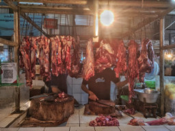 Bapanas Percepat Distribusi Daging Sapi untuk Redam Lonjakan Harga