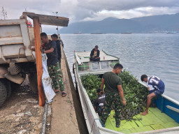 Satgas TMMD Ke-129 Kodim 1311/Morowali Siapkan Penanaman Pohon dalam Program Unggulan Kasad "Bersatu dengan Alam"