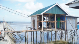 Renovasi RTLH Milik Ibu Samsiah di Desa Umbele Masuki Tahap Pemasangan Dinding dan Lantai
