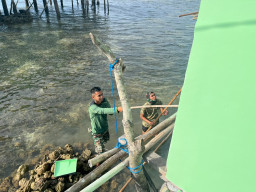 Renovasi RTLH Bapak Nardianto Berlanjut, Satgas TMMD Laksanakan Pengecatan Dinding Luar dan Dalam
