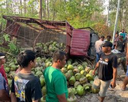 Truk Pengangkut Elpiji Terguling di Hutan Petak 93, Bojonegoro, Sopir Tewas Seketika