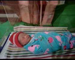 Bayi Tak Berdosa di Balongbendo, Sidoarjo, Ditemukan Warga di Sebuah Kebun Bambu 