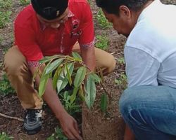 HUT 48, DPC PDI Perjuangan Madina Ajak Masyarakat Mencintai Lingkungan  