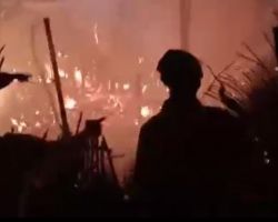 Akibat Bakar Sampah, Kandang Milik Warga Pengarengan Sampang Ludes Terbakar 