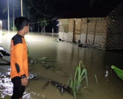 Lahan Sawah 45 Ha di Desa Sei Buah Keras, Sumatra Utara Terendam Banjir