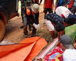 Tambang Emas di Solok Selatan Longsor, 7 Tewas dan 9 Orang Terluka 
