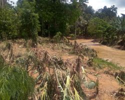 Banjir 2 Desa di Poliwali Mandar, Berdampak pada 90 KK