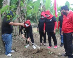 HUT 48 PDI Perjuangan, DPC Kota Medan Tanam Pohon Disejumlah Titik Secara Serentak