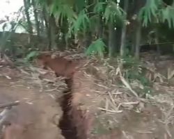 Tanah Longsor di Bogor, 2 Rumah Warga Luluh Lantak