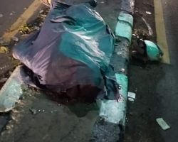 Pohon Tumbang di Sidoarjo, Tewaskan 1 dari 5 Pemotor