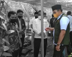 Universitas Trunojoyo Kembangkan Vanili, Bupati Yakin Dapat Mendorong Pertumbuhan Ekonomi