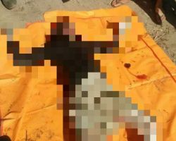 Mayat Perempuan Ditemukan Telungkup di Kolam Bekas Galian, Sergal