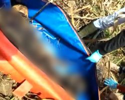 Mayat Membusuk di Tengah Kebun Tebu, Warga Glenmore Geger