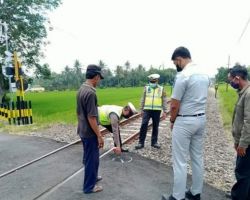 Pemotor di Banyuwangi Tersambar Kereta, Korban Tewas di Tempat