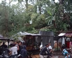 Hujan dan Angin Kencang di Trawas Mojokerto, 3 Warga Tewas