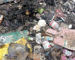 Ngawur Bakar Limbah B3, Polindes Kebun Sareh Disoal Lembaga Cakrawala Merah Putih 