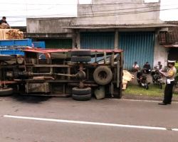 Truk Bermuatan Kayu Sengon di Banyuwangi Terguling