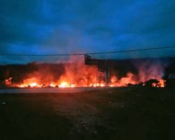 KKB Bakar Sekolah di Pegunungan Bintang, Papua