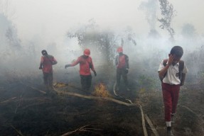 Aplikasi ASAP Digital Nasional, Langkah Strategis Cegah Karhutla