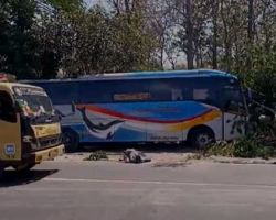 Kecelakaan di Saradan Madiun, Tewaskan Seorang Mahasiswa