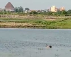 Mayat Mengambang di Waduk Bunder Gresik, Warga Banjarsari Geger