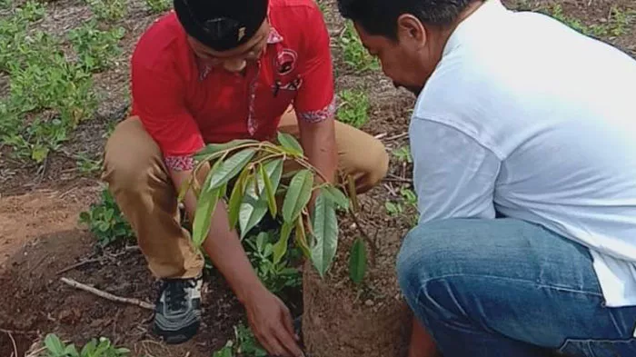 HUT 48, DPC PDI Perjuangan Madina Ajak Masyarakat Mencintai Lingkungan  