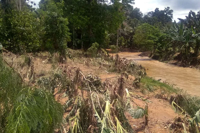 Banjir 2 Desa di Poliwali Mandar, Berdampak pada 90 KK