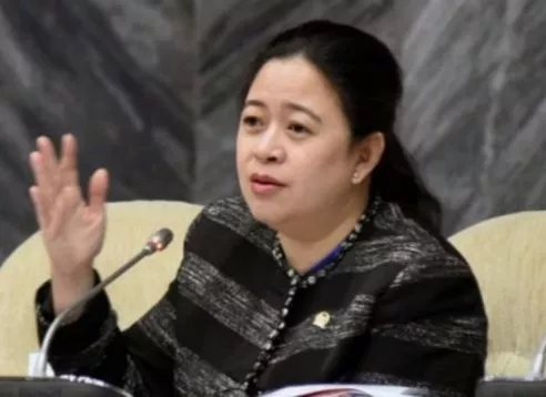 3 Varian Baru, Puan Minta Masyarakat Tetap Waspada