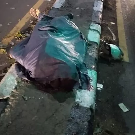 Pohon Tumbang di Sidoarjo, Tewaskan 1 dari 5 Pemotor