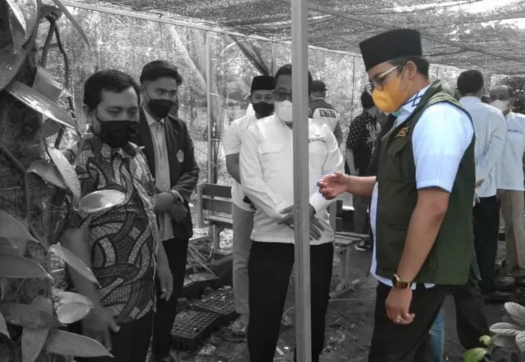Universitas Trunojoyo Kembangkan Vanili, Bupati Yakin Dapat Mendorong Pertumbuhan Ekonomi