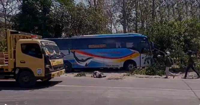 Kecelakaan di Saradan Madiun, Tewaskan Seorang Mahasiswa