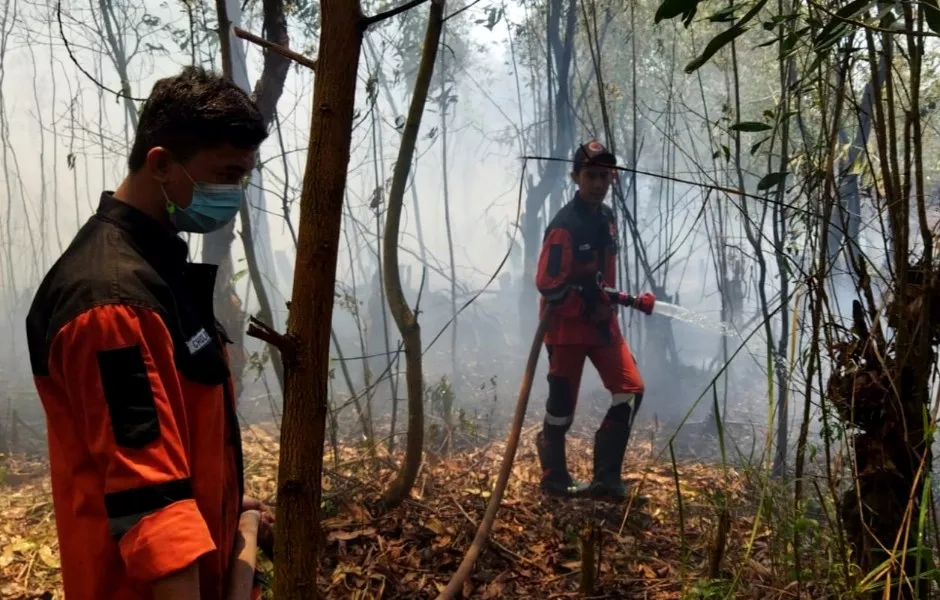 Lambat Turun Hujan, Lahan Seluas 3 Hektar di Desa Palem Sumsel Terbakar