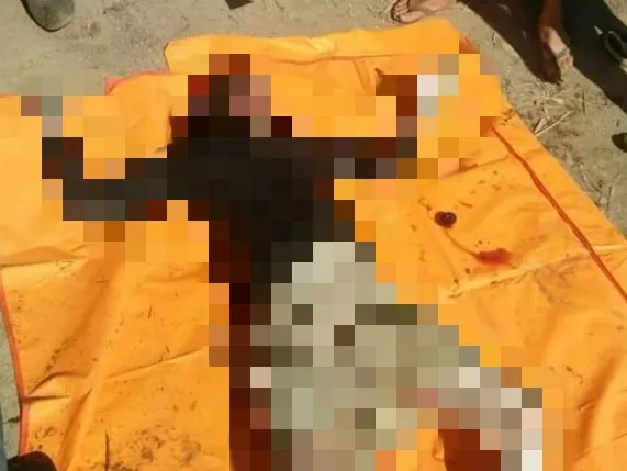 Mayat Perempuan Ditemukan Telungkup di Kolam Bekas Galian, Sergal