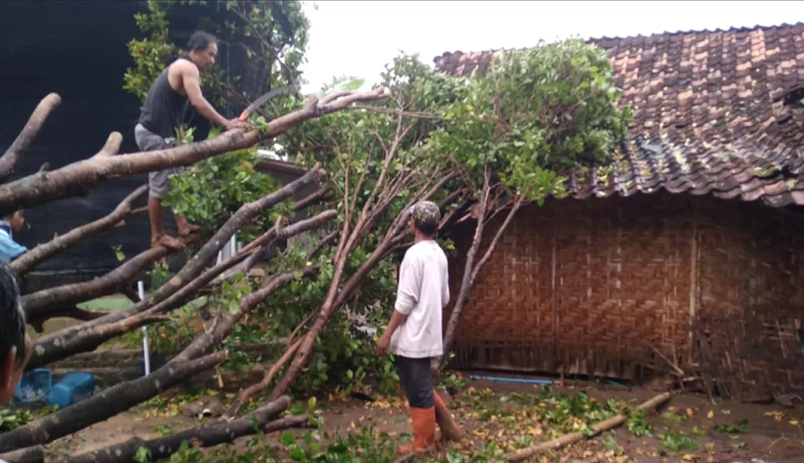 Didera Angin Kencang, Empat Rumah Warga Madiun Rusak Berat
