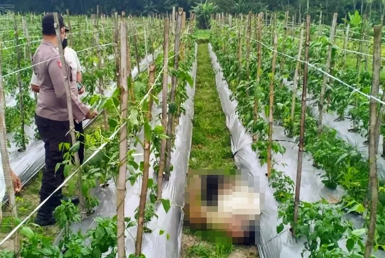 Diduga Serangan Jantung, Petani Blitar Tewas di Tengah Sawah