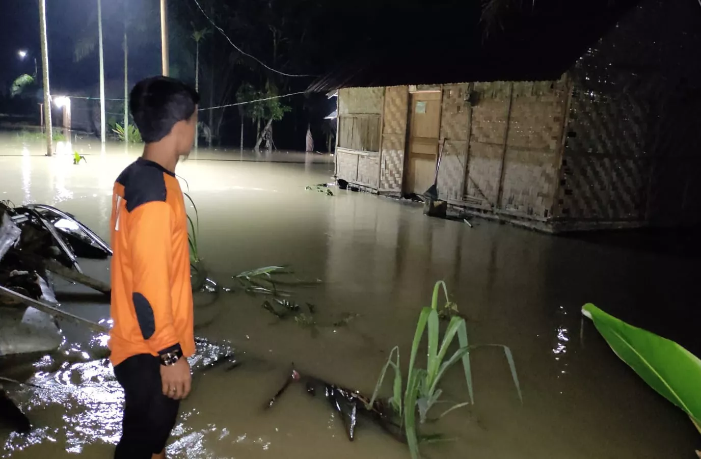 Lahan Sawah 45 Ha di Desa Sei Buah Keras, Sumatra Utara Terendam Banjir