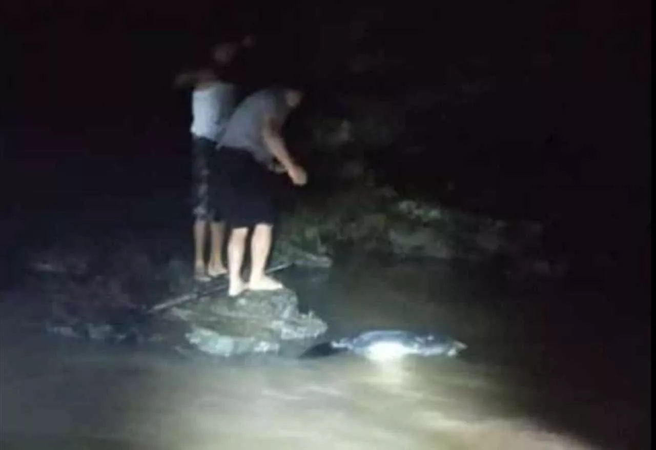Perempuan Paruh Baya Ditemukan Tewas di Aliran Sungai Nitikan Gunungkidul
