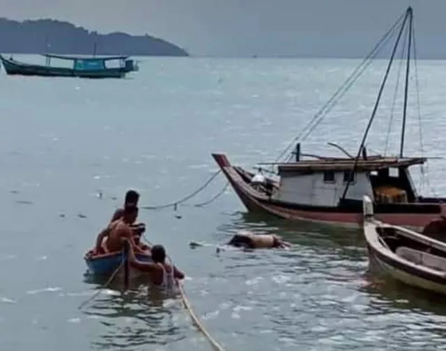 Berhari-hari Tak Pulang, Fitrianto Ditemukan Tewas di Perairan Lemukutan