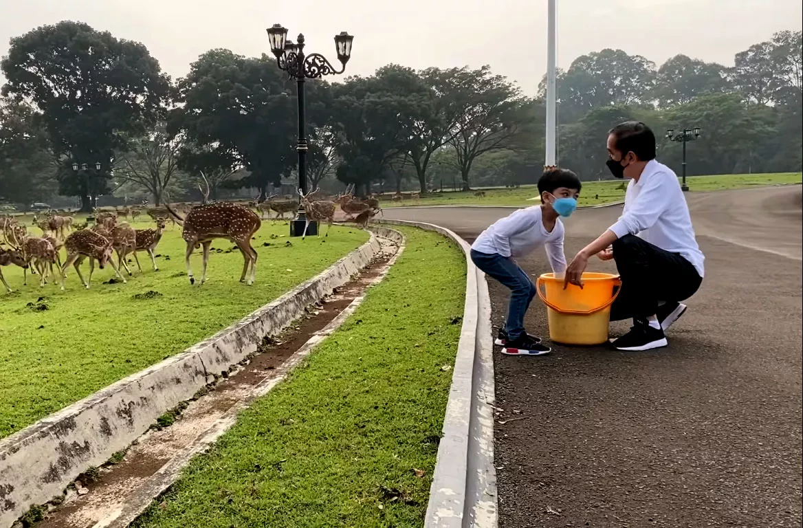 Pekan Pertama 2022, Jokowi Bersama Ethes dan Mirah di Istana Bogor